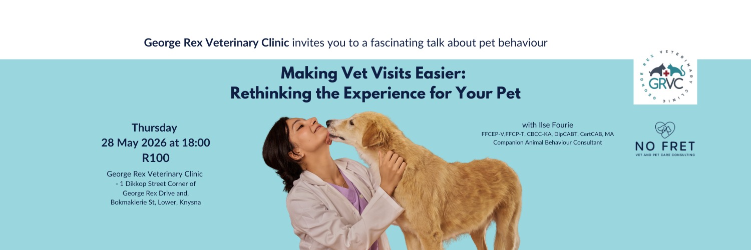 Making Vet Visits Easier: Rethinking the Experience for Your Pet Your pet’s emotional wellbeing is essential for good medical care.