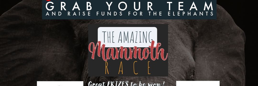 The Amazing Mammoth Race