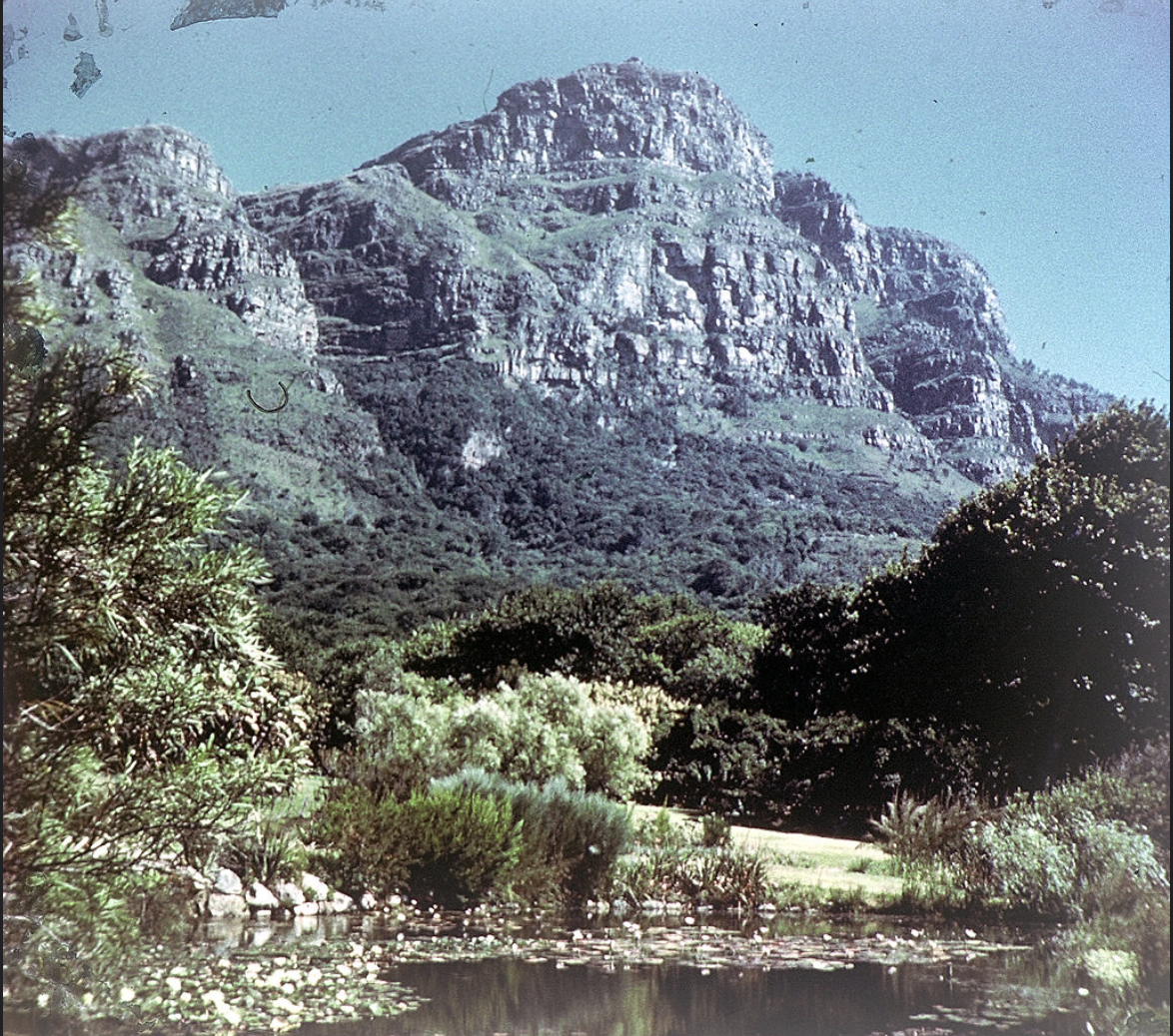 Harold's Saga - A Heritage Walking Tour through Kirstenbosch Gardens