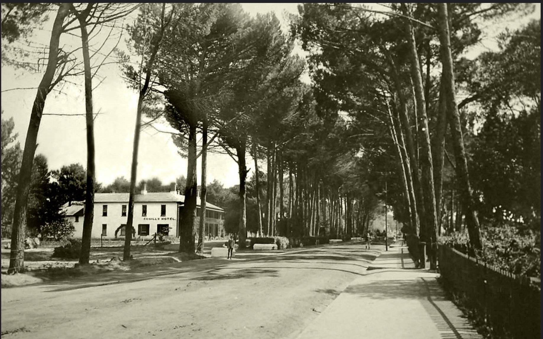 The Cottage Montage - An Old Wynberg Heritage Walking Tour