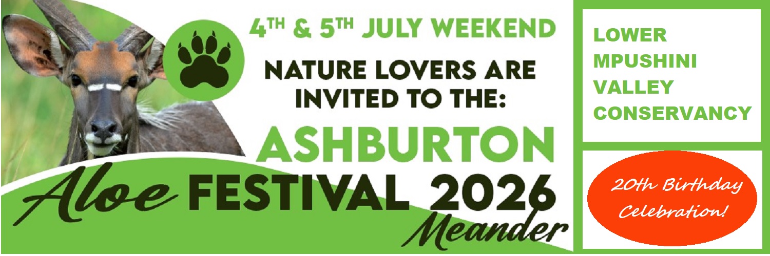 Ashburton Aloe Festival