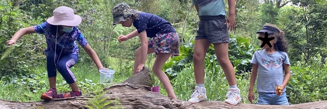 The Kids Adventure Festival 2026