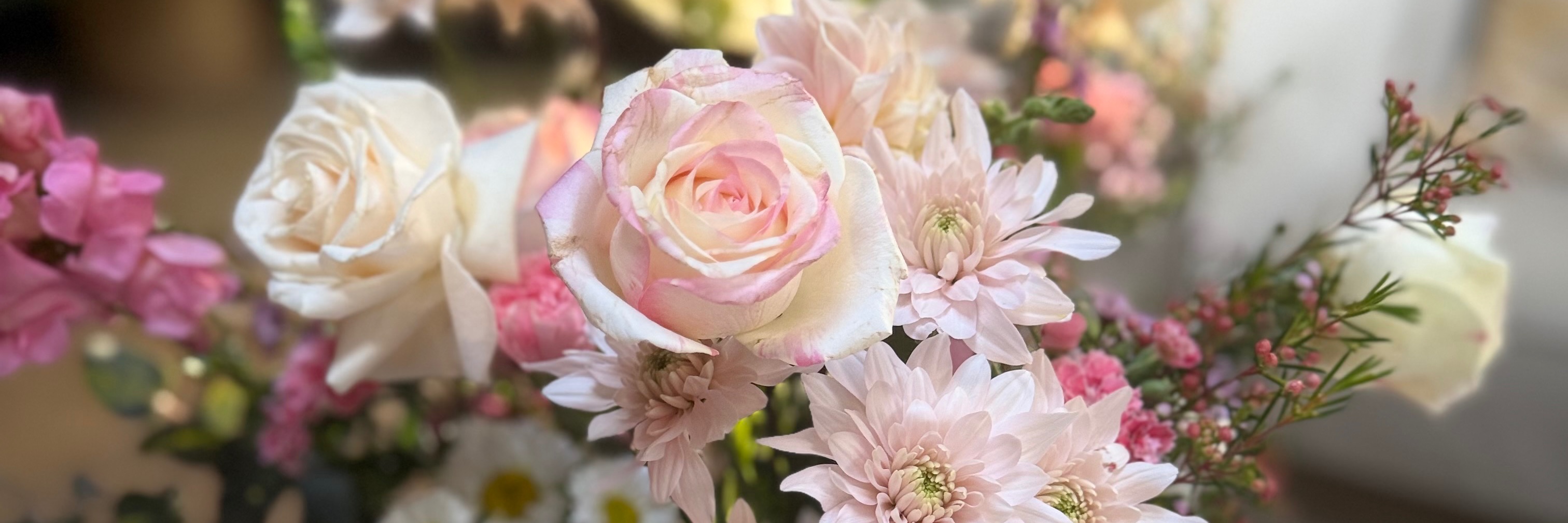 Bloom & Brunch 20 June