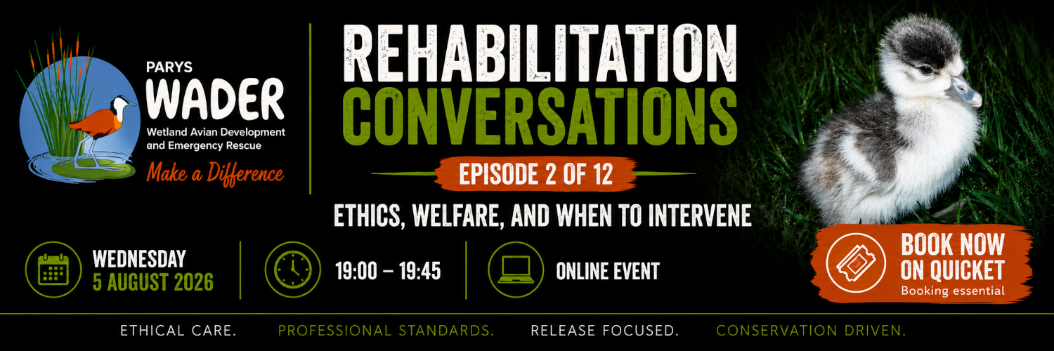 Parys WADER Rehabilitation Conversations Episode 2