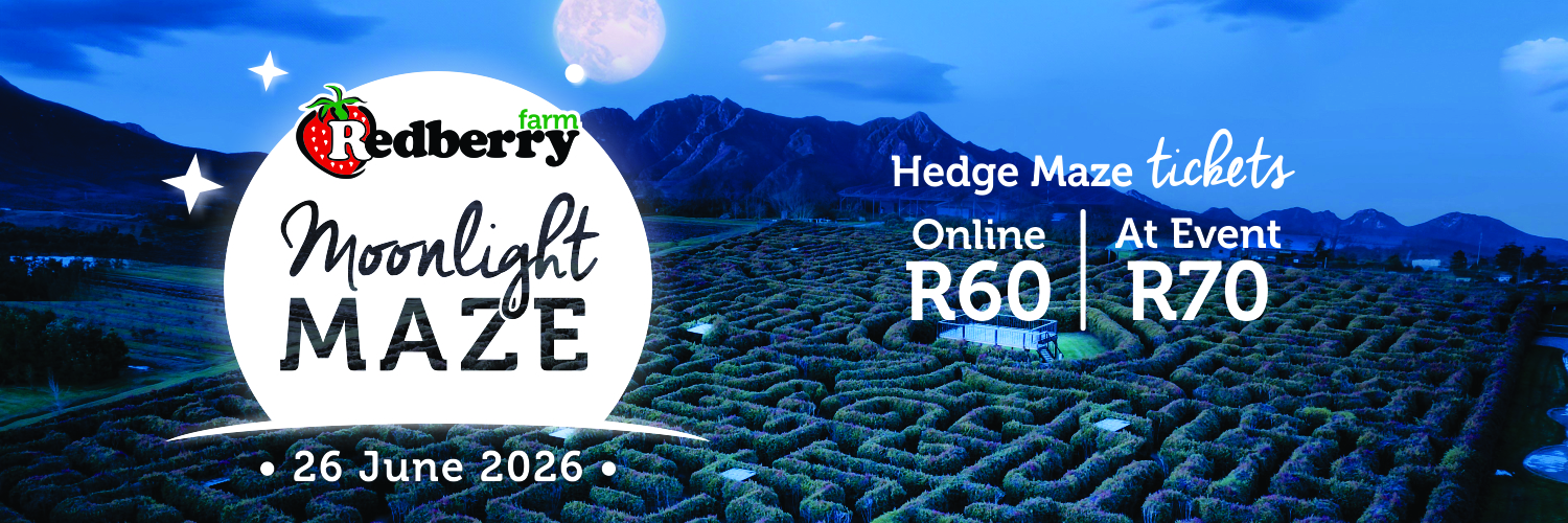 Moonlight Maze 2026