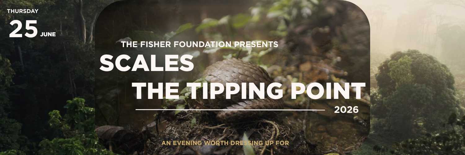 Scales: The Tipping Point