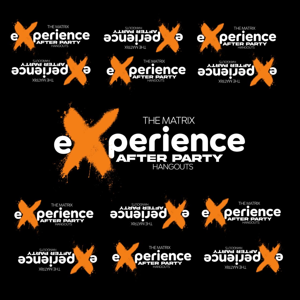 The Matrix Experience