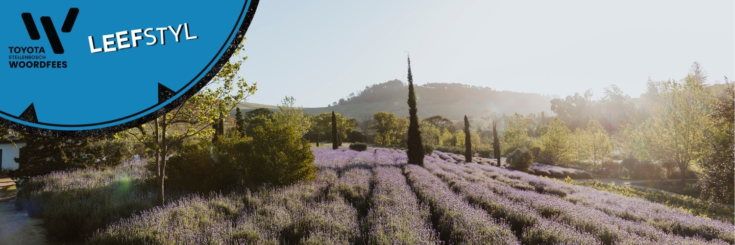 ’n Laventel-ervaring