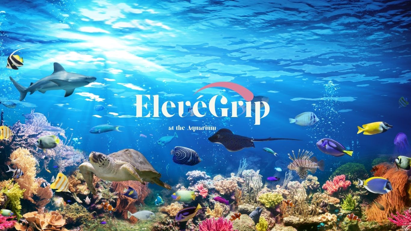 Pilates at the Aquarium x ElevéGrip