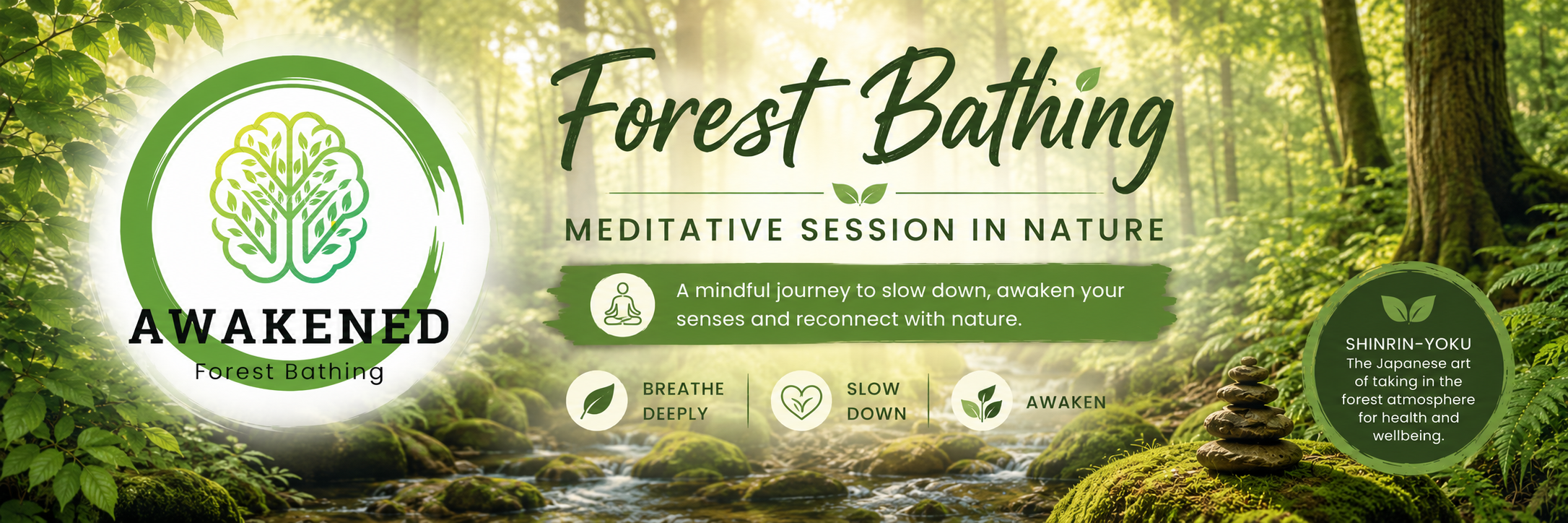 Forest Bathing (Shinrin Yoku) - Walking meditation