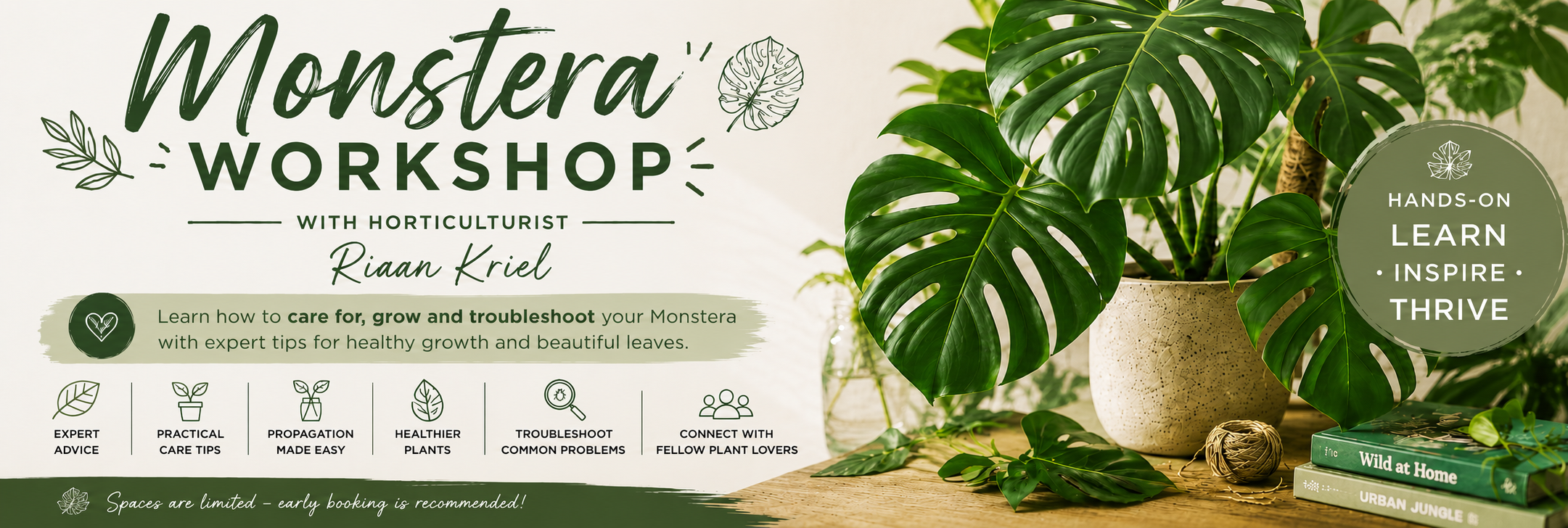 Monstera Plant Workshop