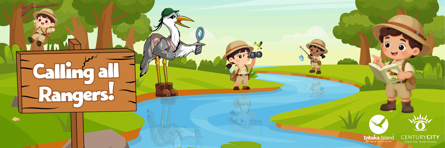 Intaka Island School Holiday Programme: Ranger For A Day