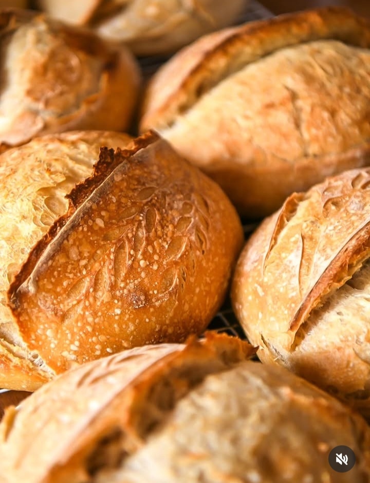 Introduction to sourdough