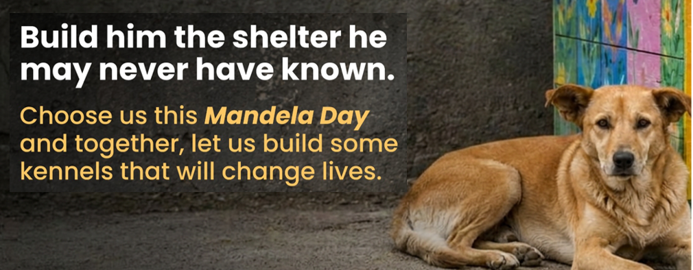 Nelson Mandela Day - Kennel Building Day