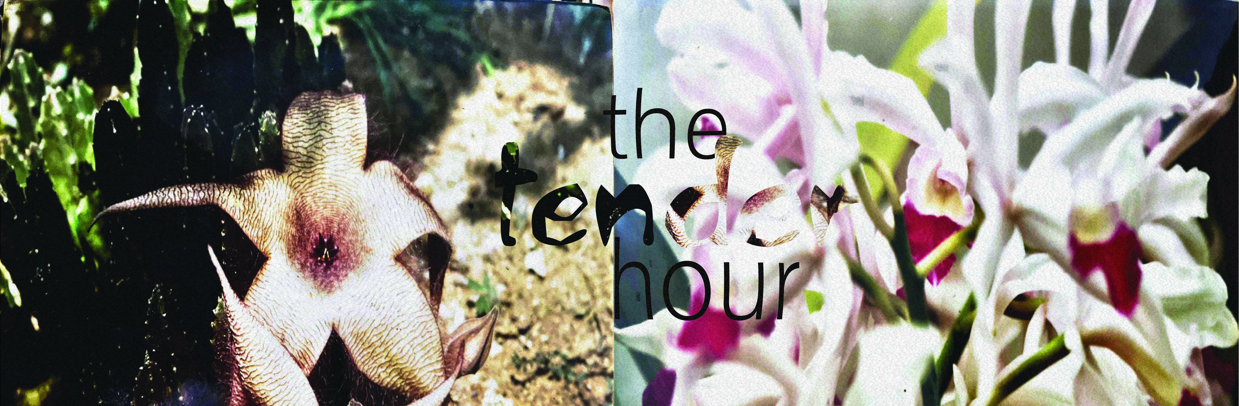 The Tender Hour