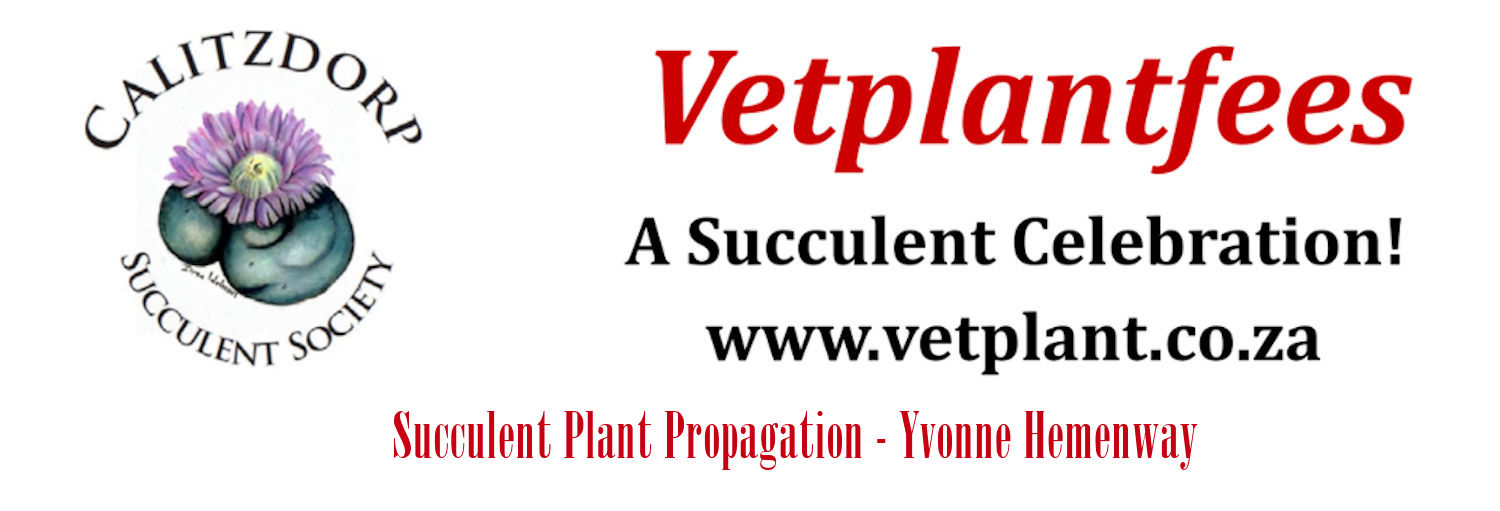 Vetplantfees - Succulent Plant Propagation