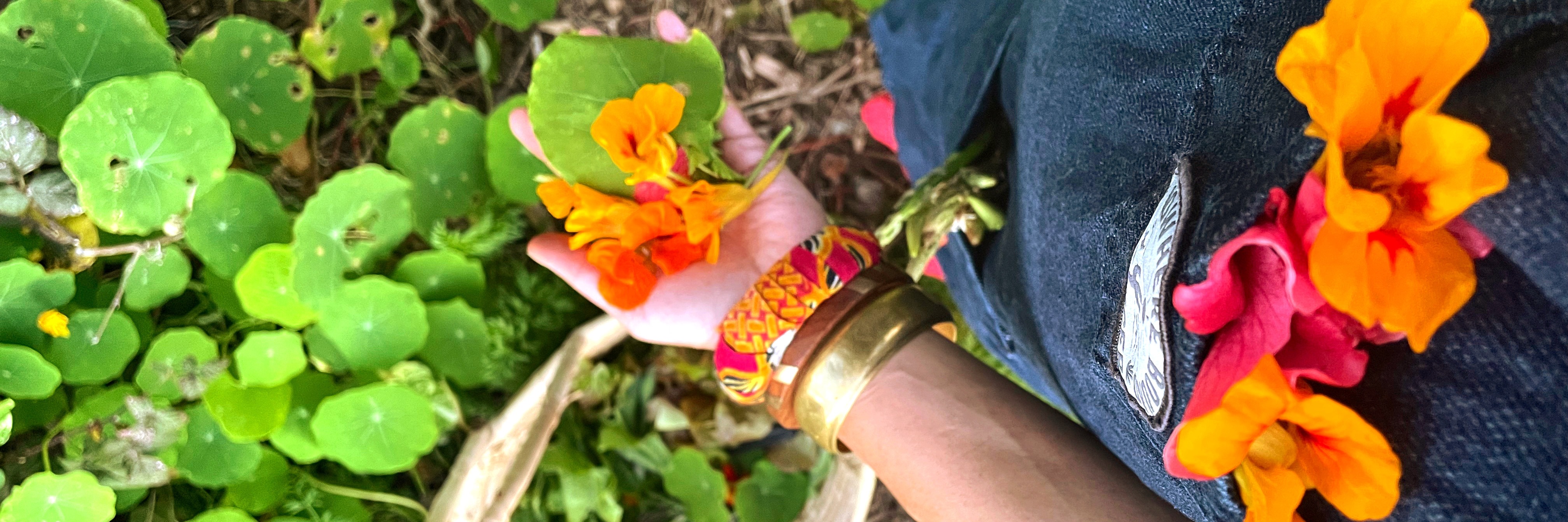 Healing Broth Bowl and Edible Weeds Workshop With Veld & Sea - 8 August