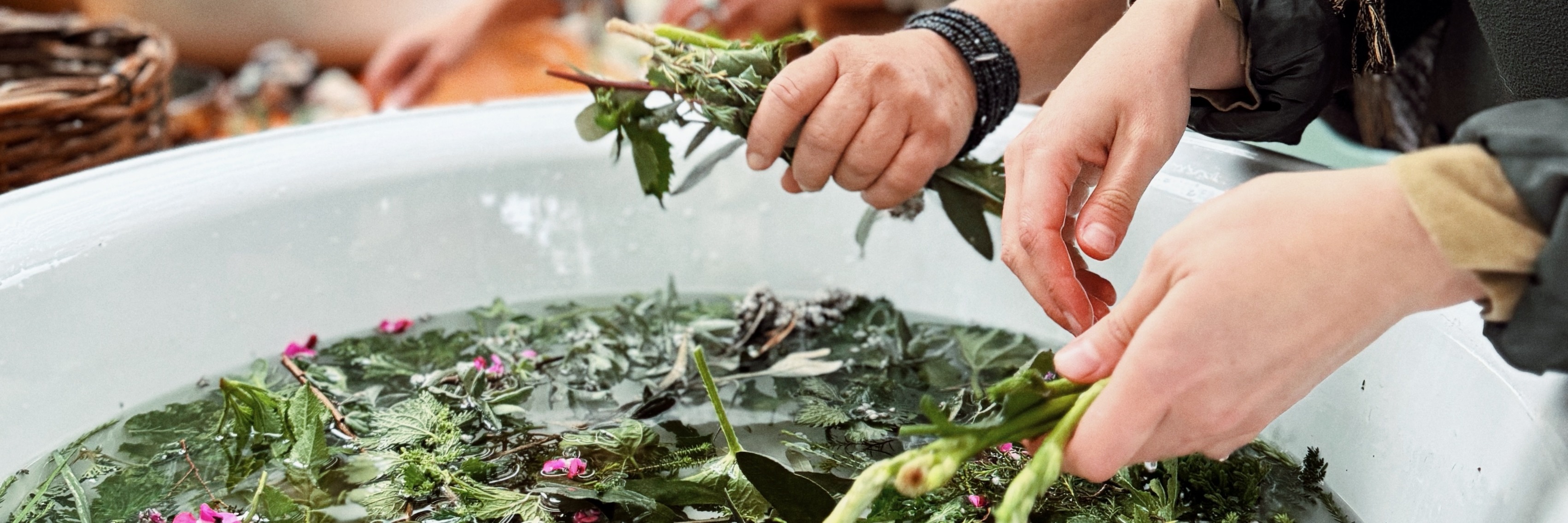 Healing Broth Bowl and Edible Weeds Workshop With Veld & Sea - 29 August