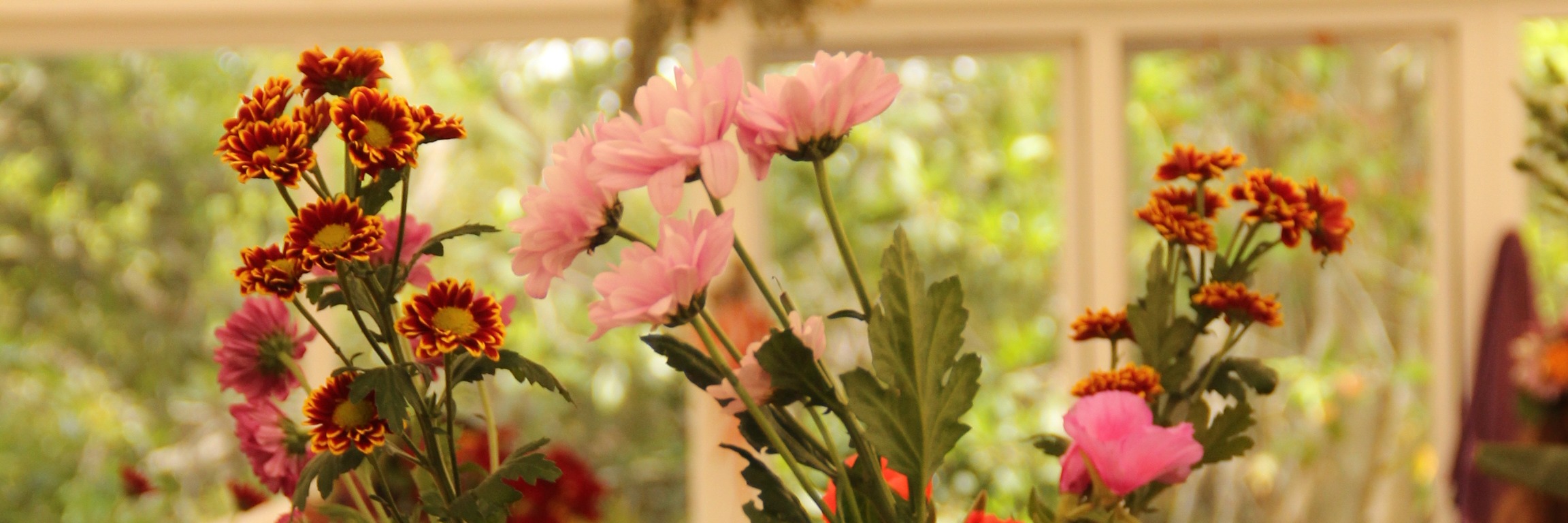 Spring Flower Workshop with Veld & Sea - 20 September
