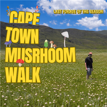 Cape Town Mushroom Walk photo 1