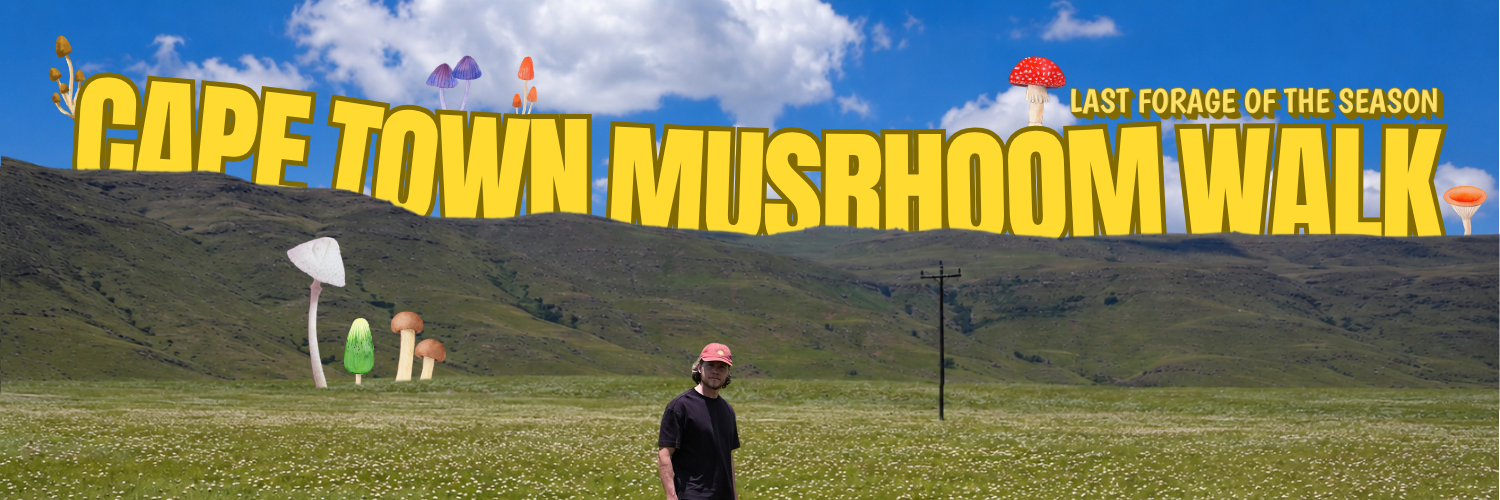 Cape Town Mushroom Walk