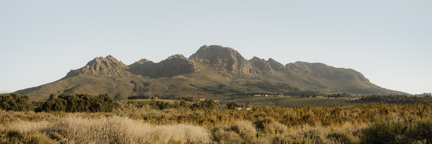 STELLENZICHT LONG TABLE VARIETAL WINE EVENING