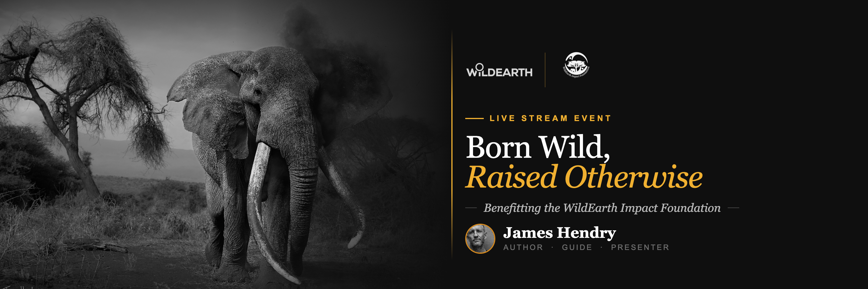 Born Wild, Raised Otherwise - with James Hendry LIVE STREAM