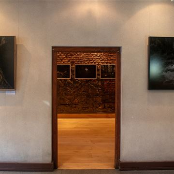 Wine Tasting - Museum of Dogs photo 1