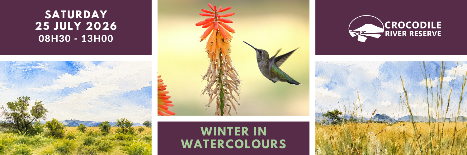 Winter in Watercolours