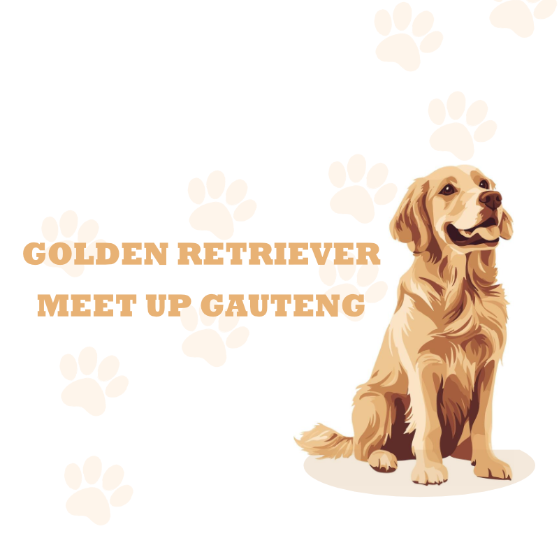 Golden Retriever Day