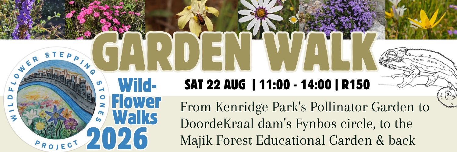 Wildflower Stepping Stones Project GARDEN WALK