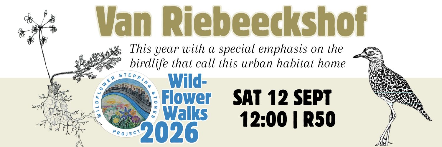 Wildflower Stepping Stones Project Van Riebeeckshof Wildflower Walk