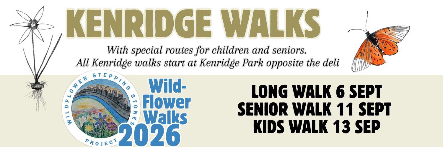 Wildflower Stepping Stones Kenridge Walks