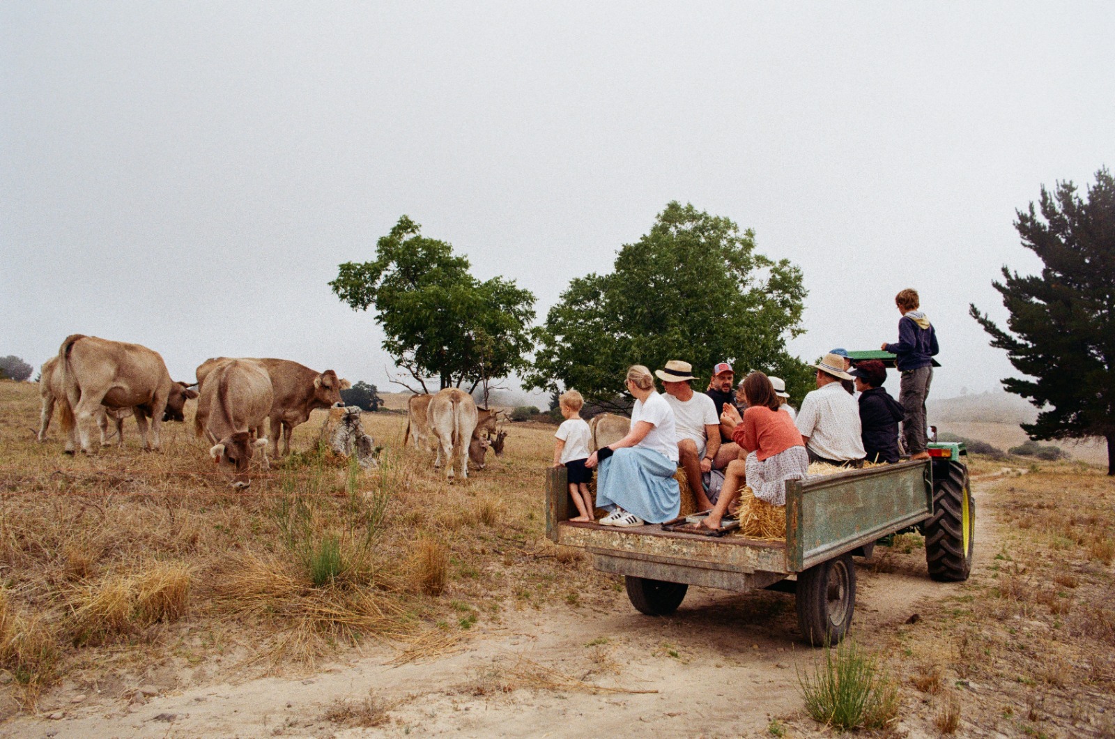 Cultured Butter & Cheese making Workshop