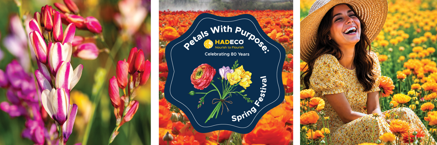 Petals with Purpose: Spring Festival