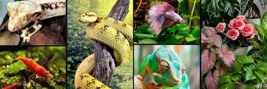 Knowledge in Nature Expo 2027