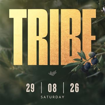 TRIBE photo 1