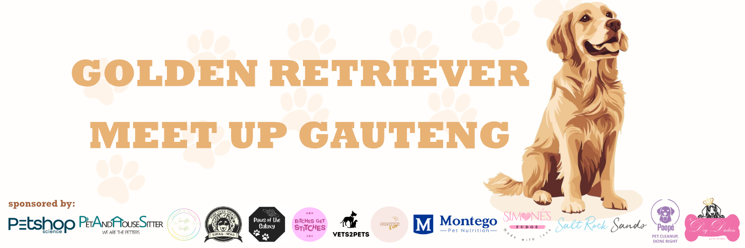 Golden Retriever Day