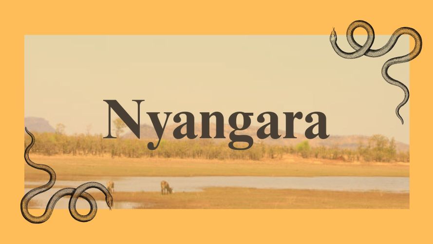 Nyangara: The Musical