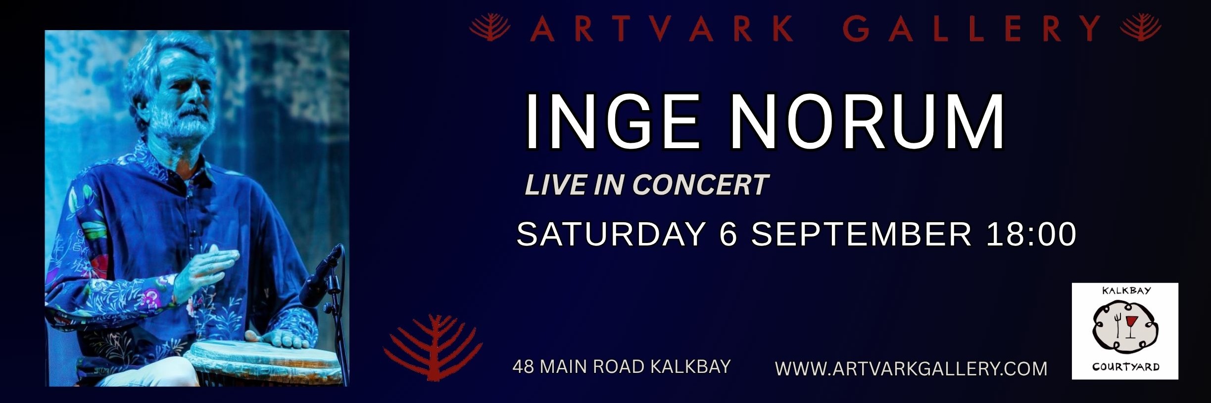 INGE NORUM - Live at Artvark Gallery.