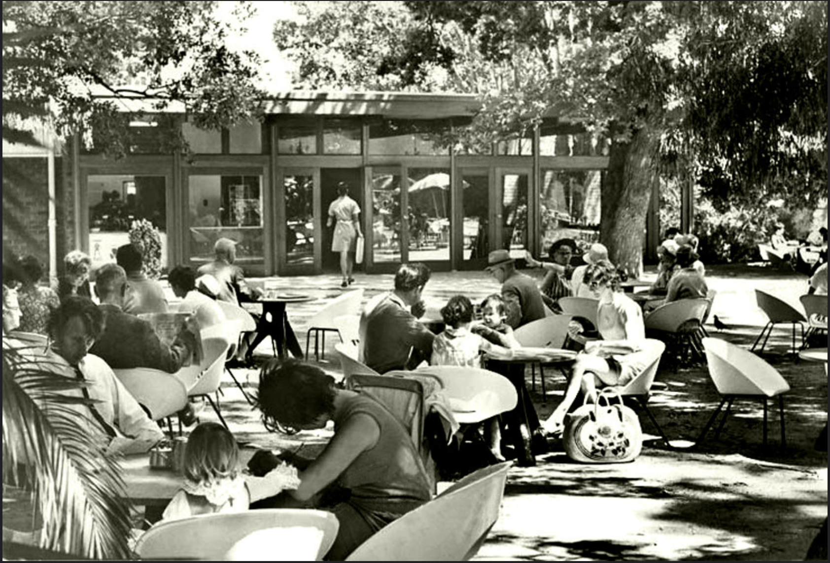 The Family Plot - A Heritage Walking Tour Through the Company Gardens