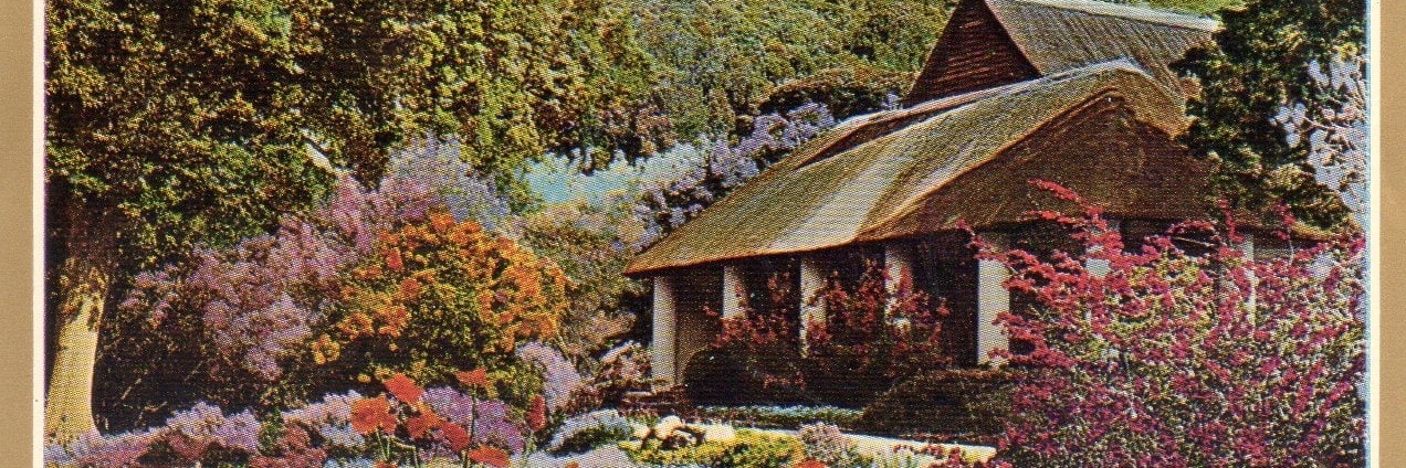 Mandela's Gold - A Heritage Walking Tour Through Kirstenbosch Botanical Gardens