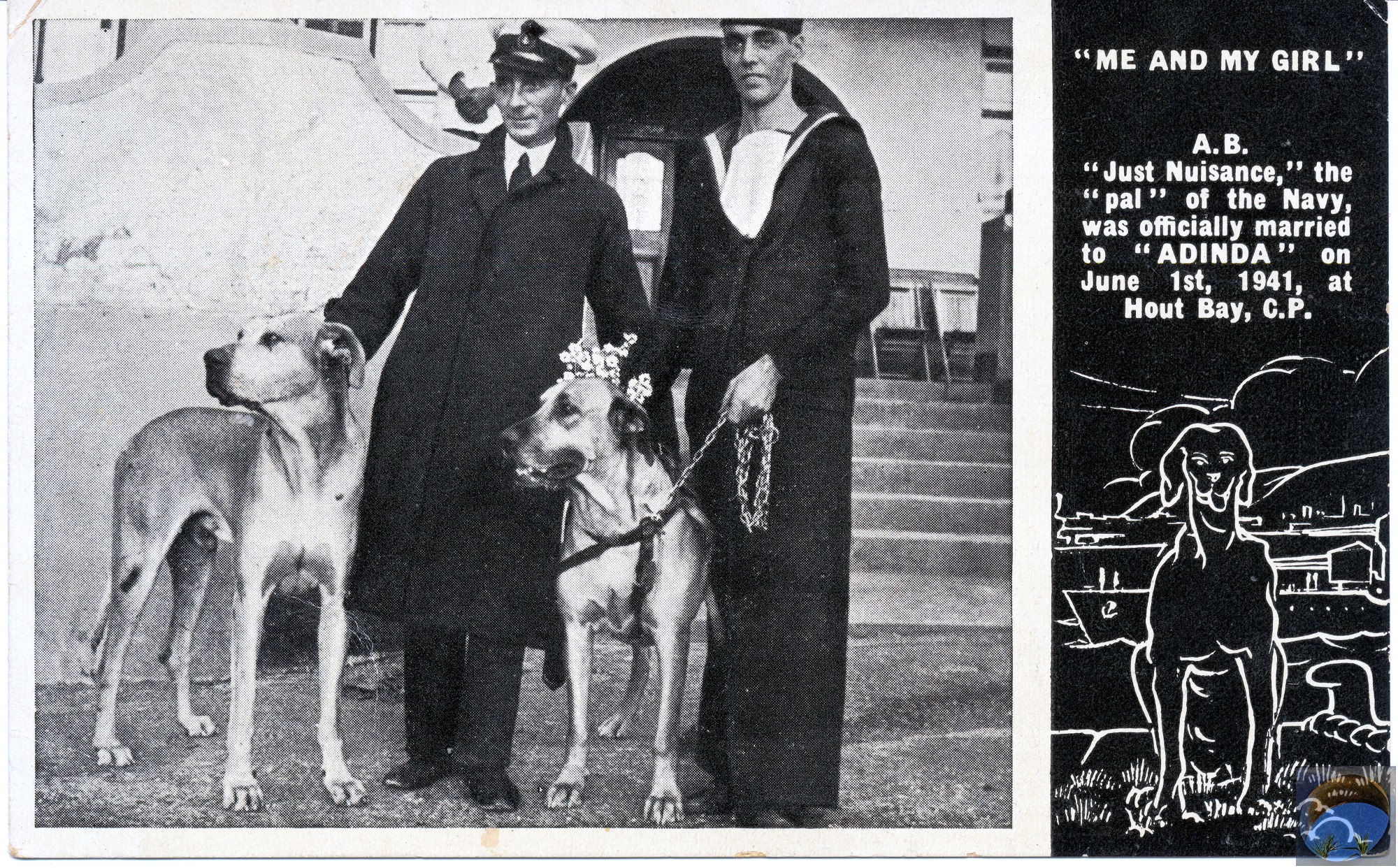 Aristo Cats and Salty Sea Dogs - A Heritage Walking Tour Through Simon's Town
