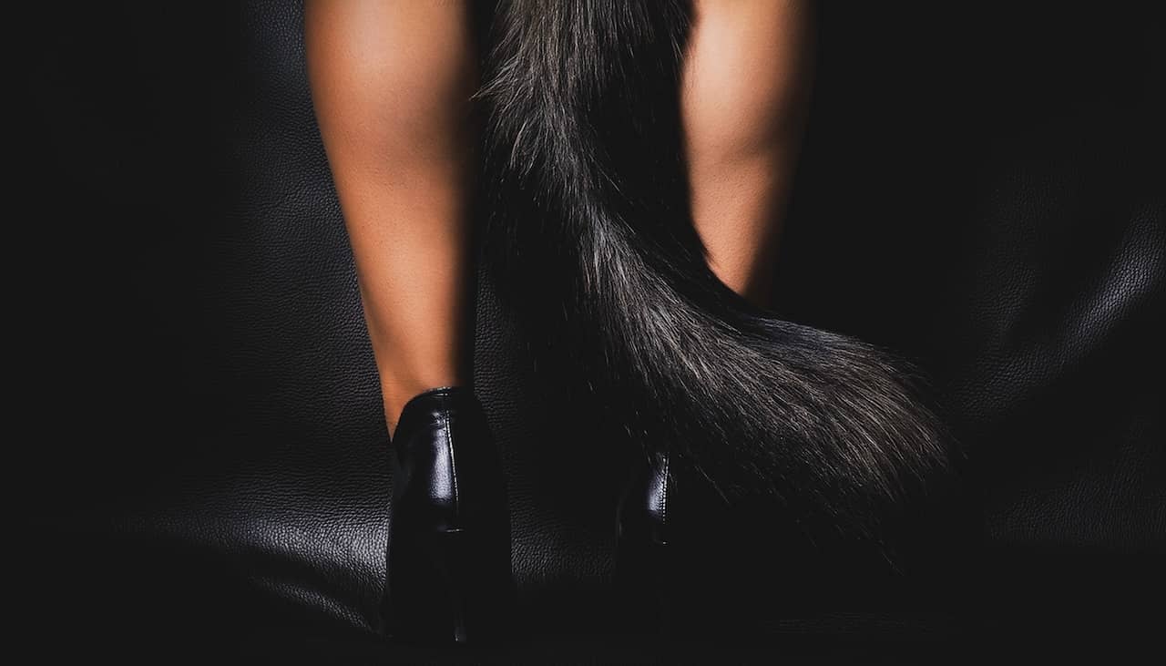 Le Chat Noir — August 15, 2026