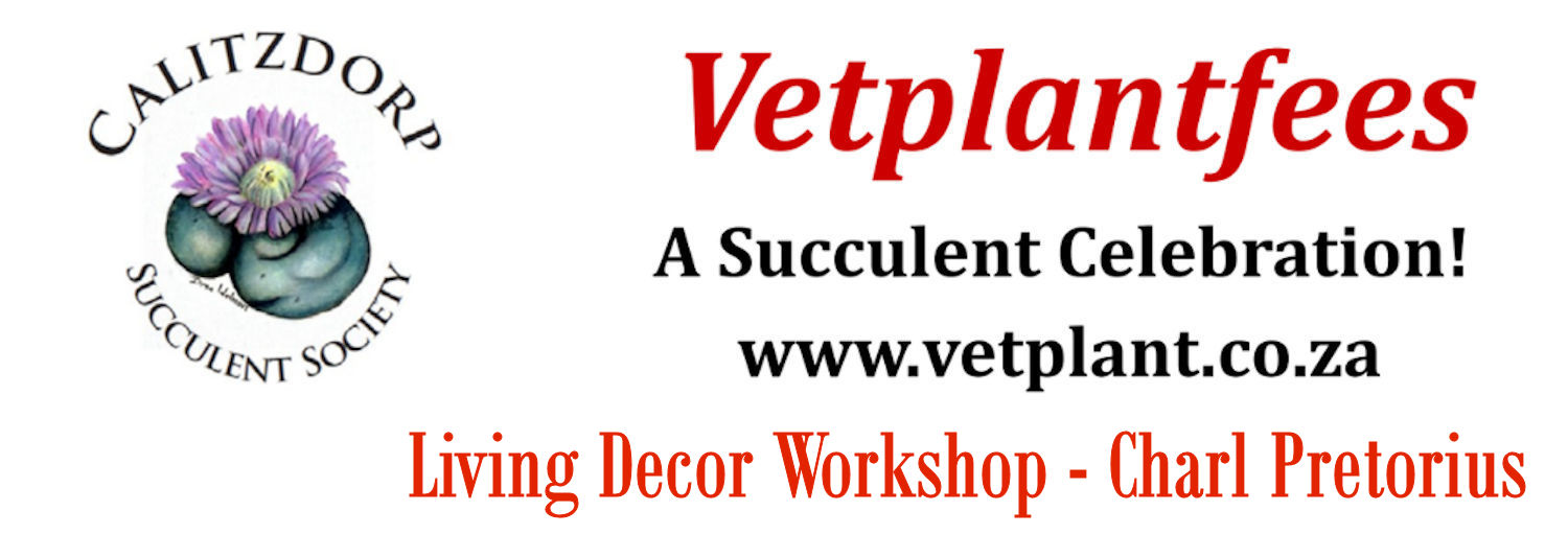 Vetplantfees - Living Decor Workshop