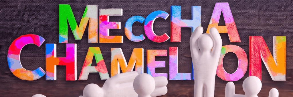 Meccha Chameleon Paint Party