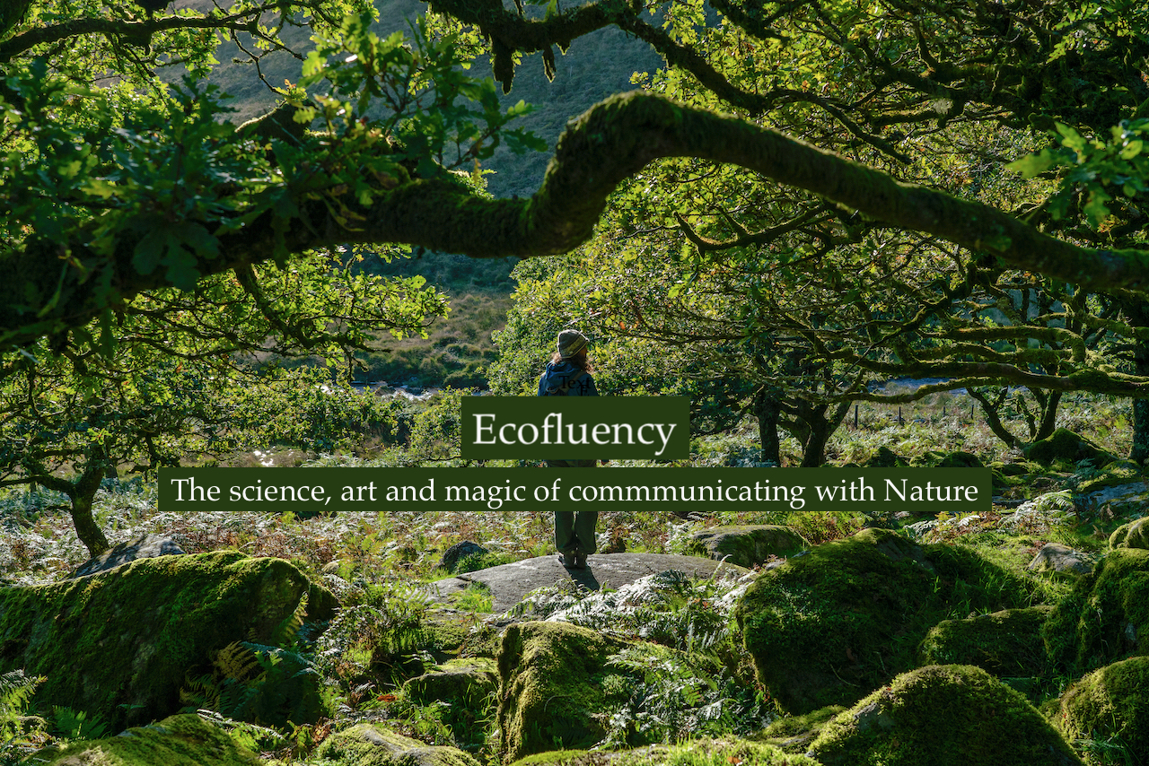 Joburg: Ecofluency workshop in Nature communication