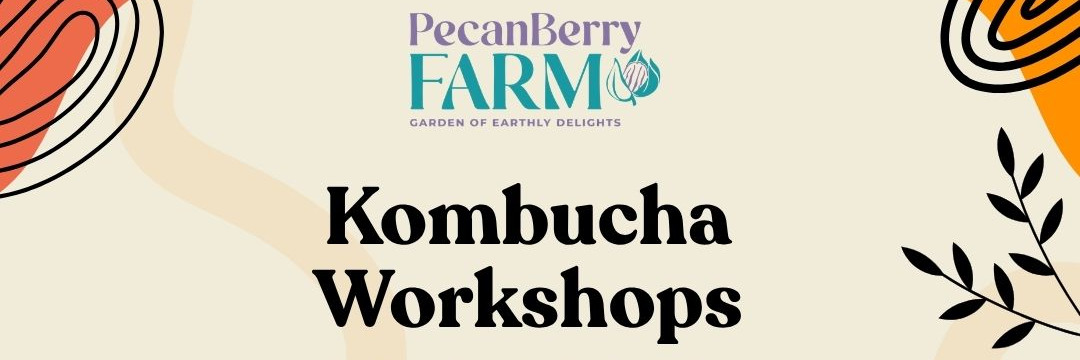Kombucha Workshop November