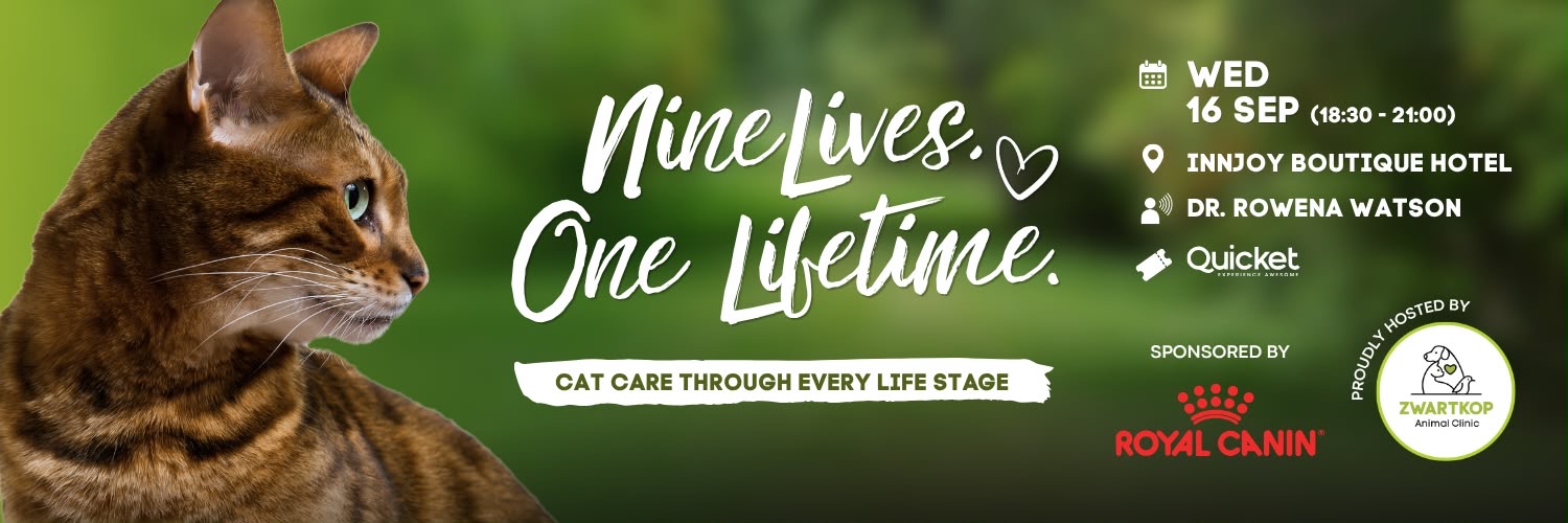 Nine Lives, One Lifetime  Cat Care Through Every Life Stage