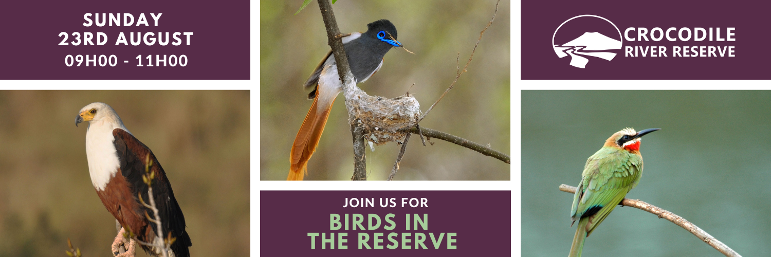 Birds of the Crocodile River Reserve 2026